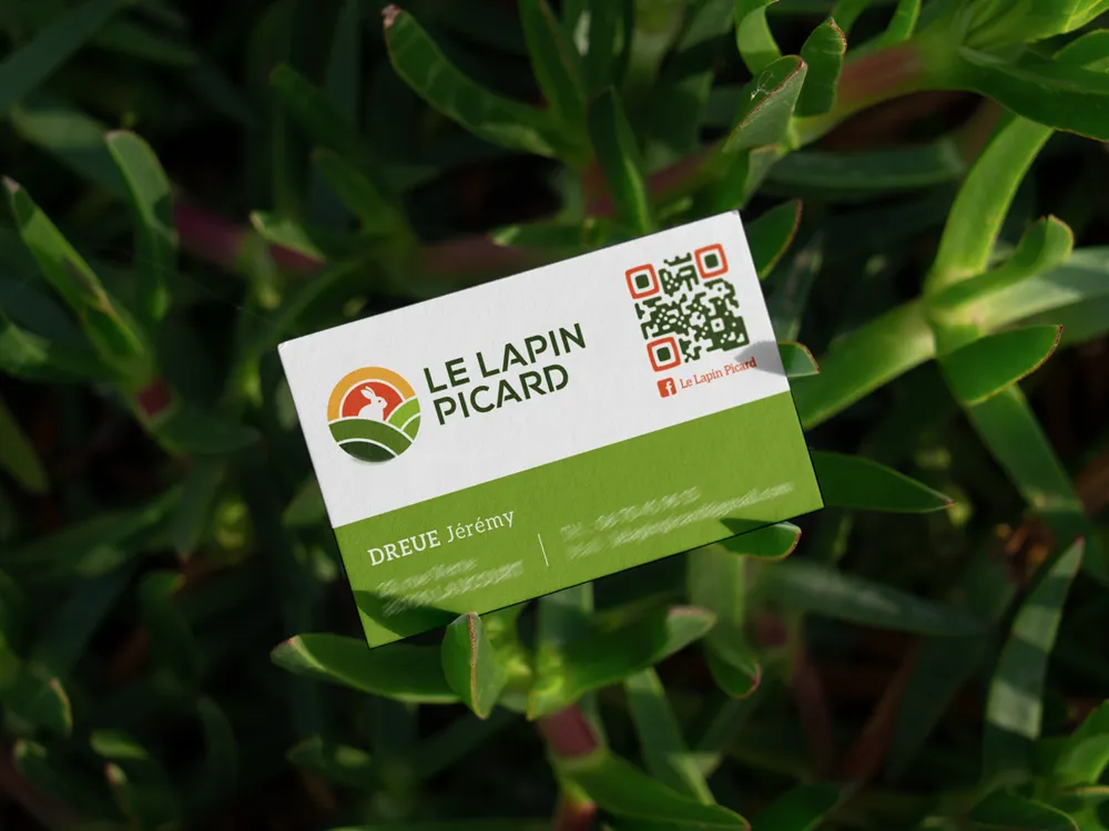 Carte de visite Le Lapin Picard création Cédric Dreue